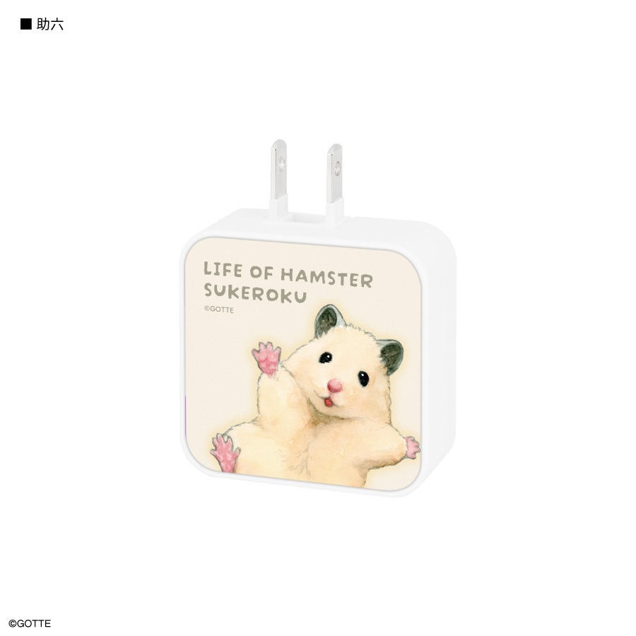 助六の日常 USB / USB Type-C ACアダプタ