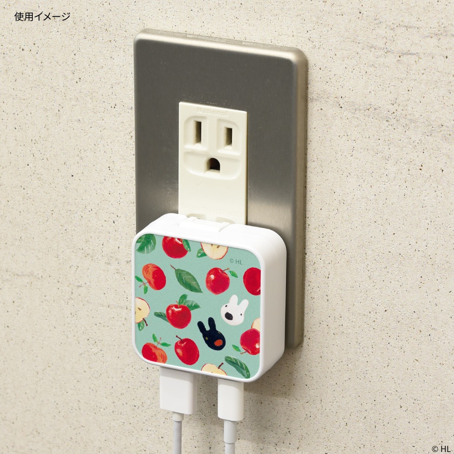 リサとガスパール USB / USB Type-C ACアダプタ