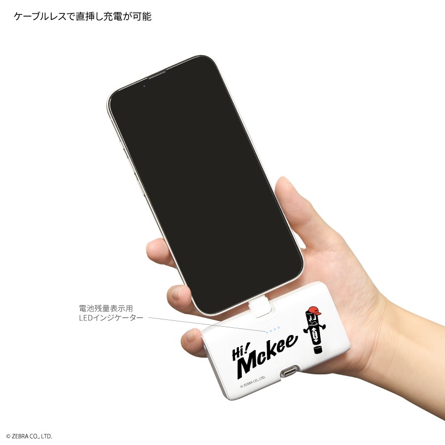 Hi! Mckee Lightning / Type-C コネクタ付き リチウムイオン充電器