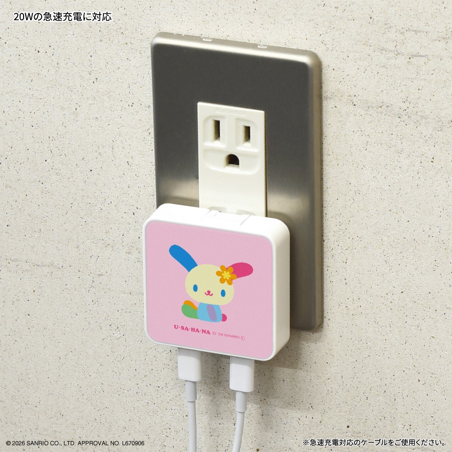 サンリオキャラクターズ USB Type-C ACアダプタ
