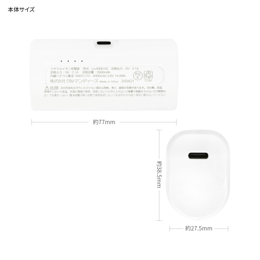 ジュラシック・ワールド USB Type-C コネクタ付き リチウムイオン充電器 4000mAh