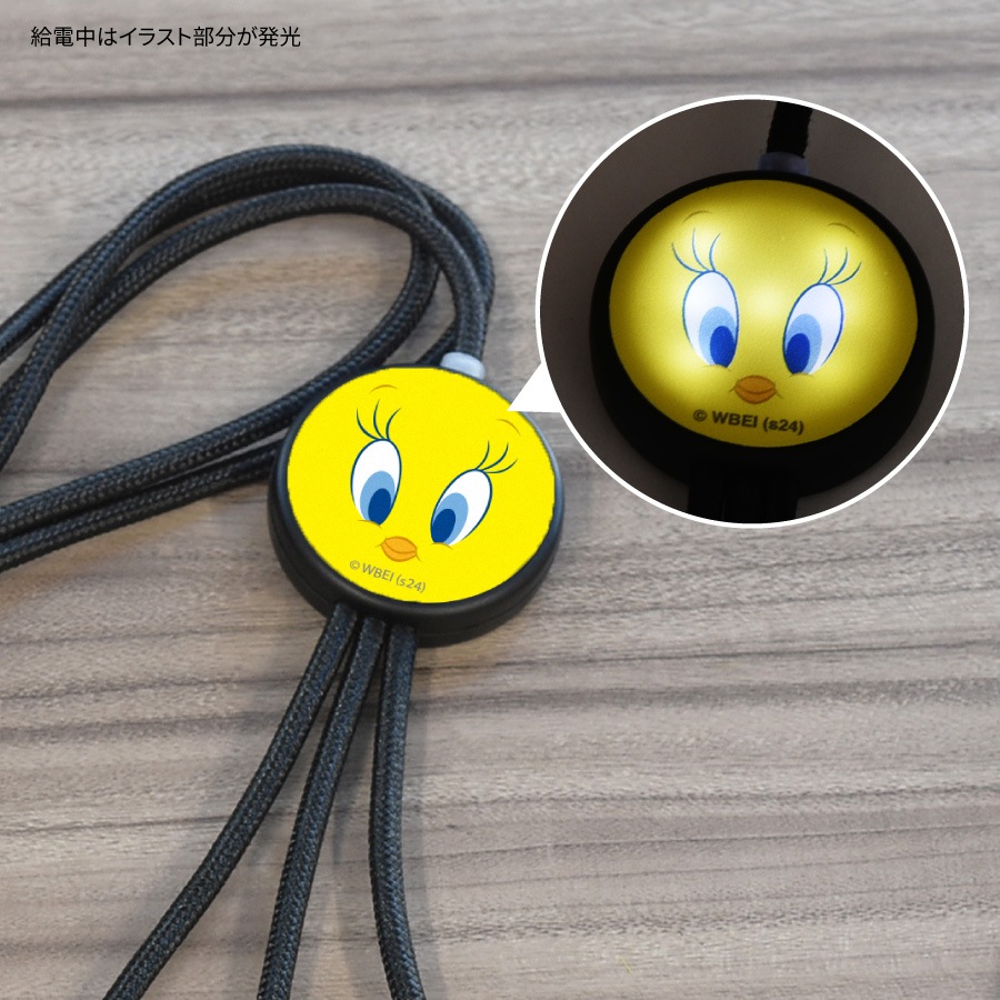 ルーニー・テューンズ フラッシュマルチ充電ケーブル