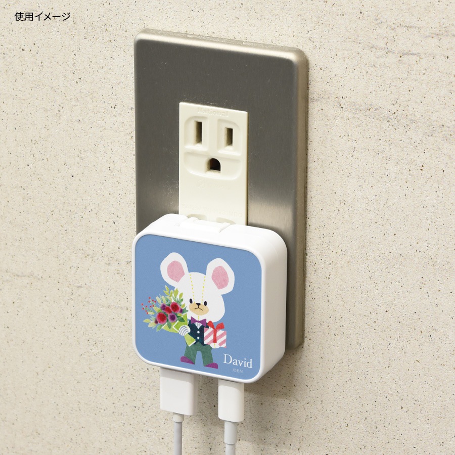 くまのがっこう USB / USB Type-C ACアダプタ