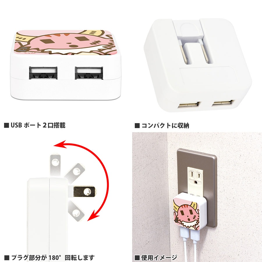 ポンコツクエスト USB2ポート ACアダプタ