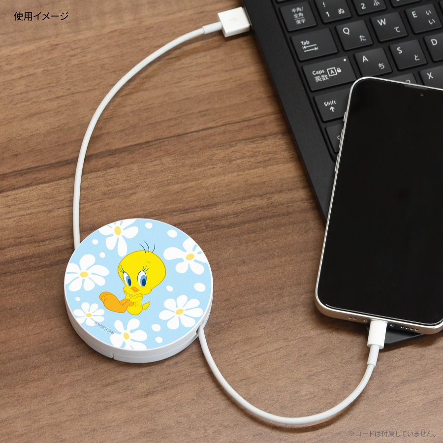 ルーニー・テューンズ コードリールケース