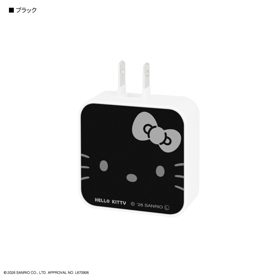 サンリオキャラクターズ USB / USB Type-C ACアダプタ