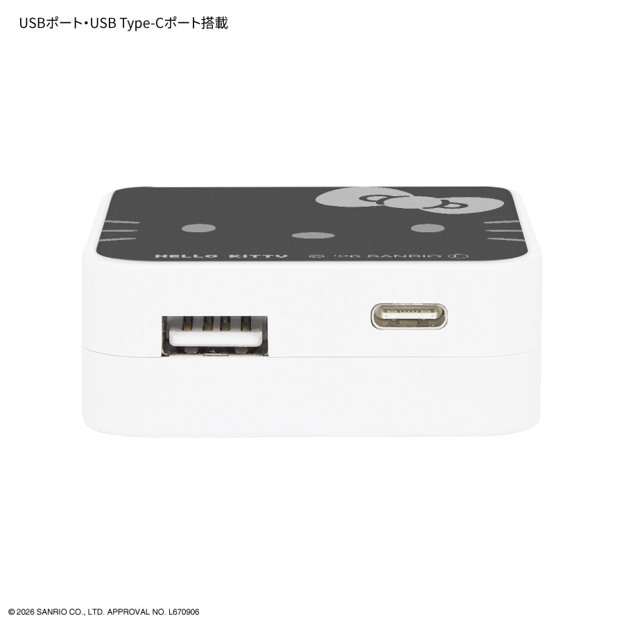 サンリオキャラクターズ USB / USB Type-C ACアダプタ