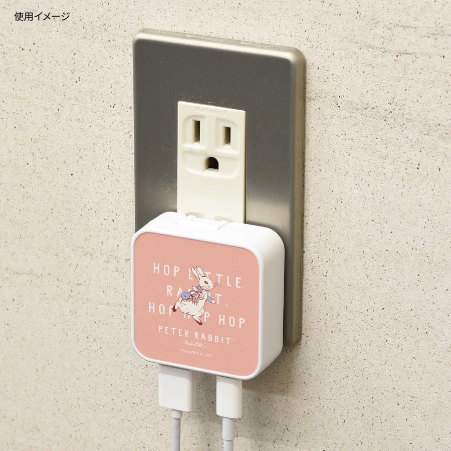 ピーターラビット(TM) USB / USB Type-C ACアダプタ