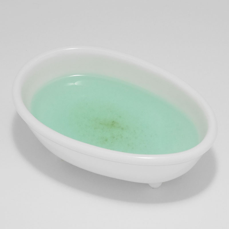 タラソドブルターニュ　アルグマリンソルト１Ｐ