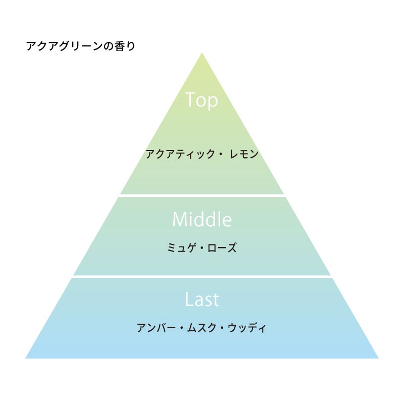 アロマパスポート リュウキュウ ウインド