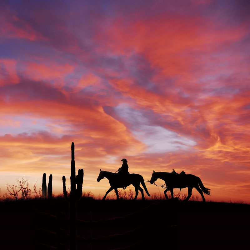 アロマパスポート アメリカン ロデオ