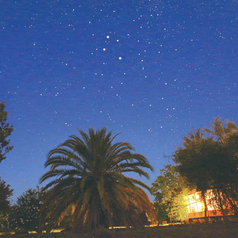 アロマパスポート オージー サザンクロス