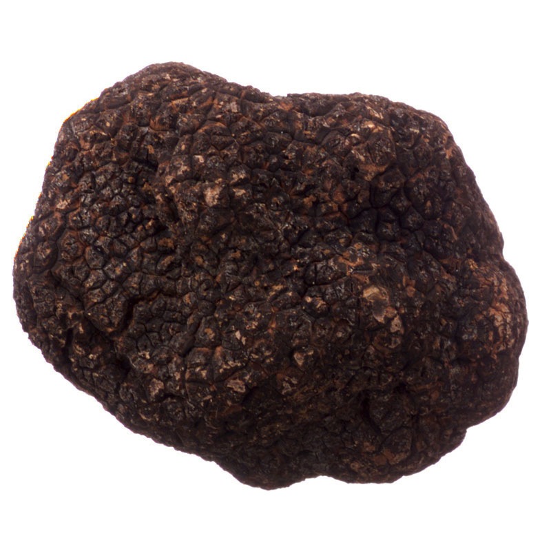 �������ȥ�ꥢ�� ���ȥ��� 100g