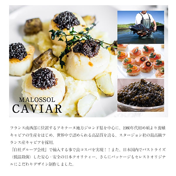 フランス パニエ・アストゥーリ キャレ フランス パニエ・アストゥーリ