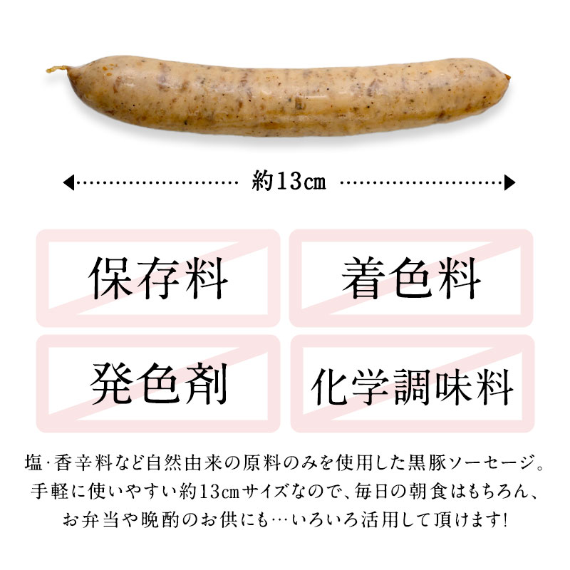 쥹ȥꥸʥ ̵ź ʹڻѡ1kgϡ12Ķ˽в١