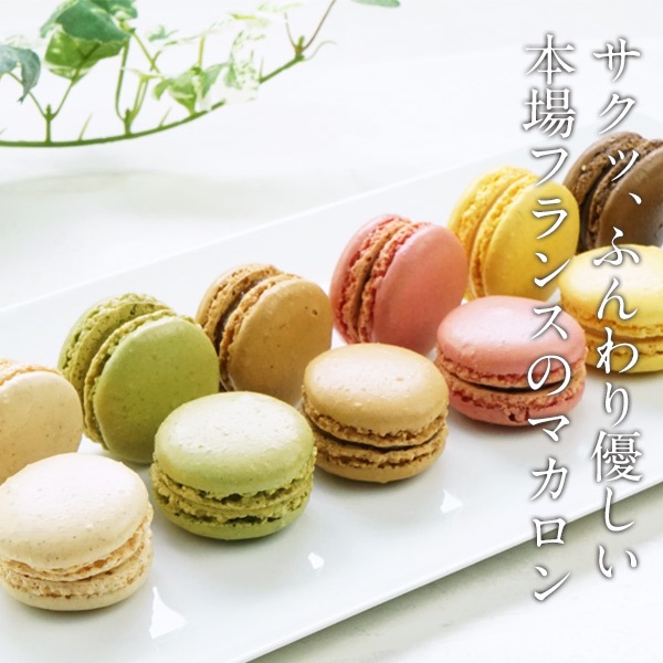�ե���ܾ��̣�襤�򤴲����ǡ�<br> BRIOCHE PASQUIER�Υ֥ꥪ�å��� �ѥ������ϥѥ����� �ޥ�����72�ġ�6���12������� <br>��2〜3�Ķ�������˽в١ۡ�����Τߡ�