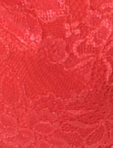 ルナクリスティー・マグノリアレース・ブラジリアンショーツ7053