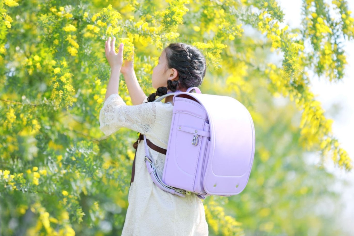 グランディール　スミレ