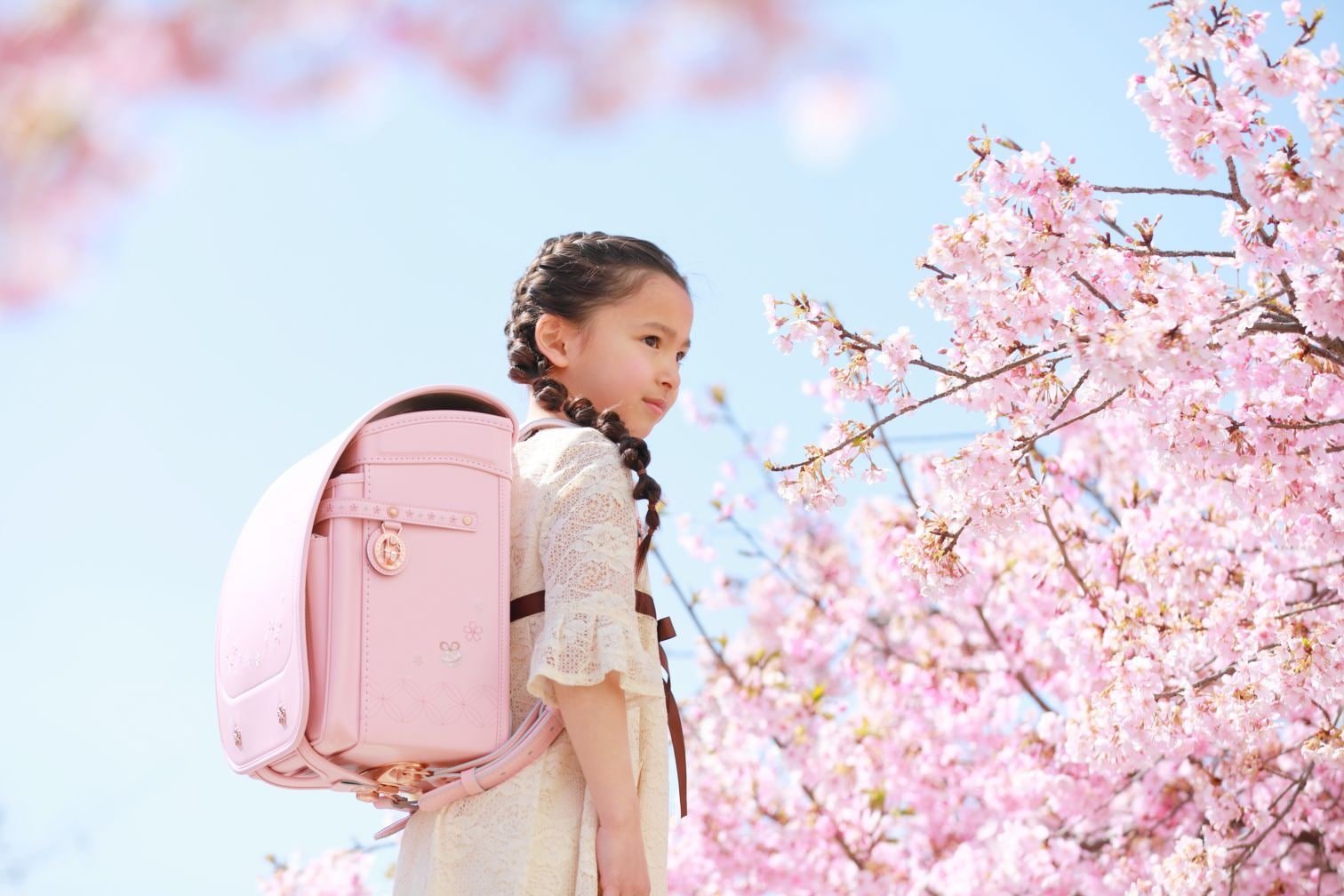 SAKURA final generation 桜