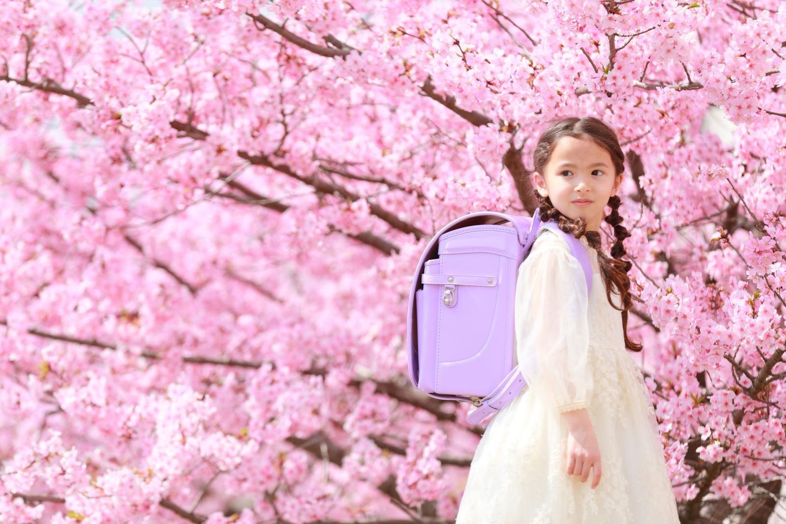 グランディール　スミレ