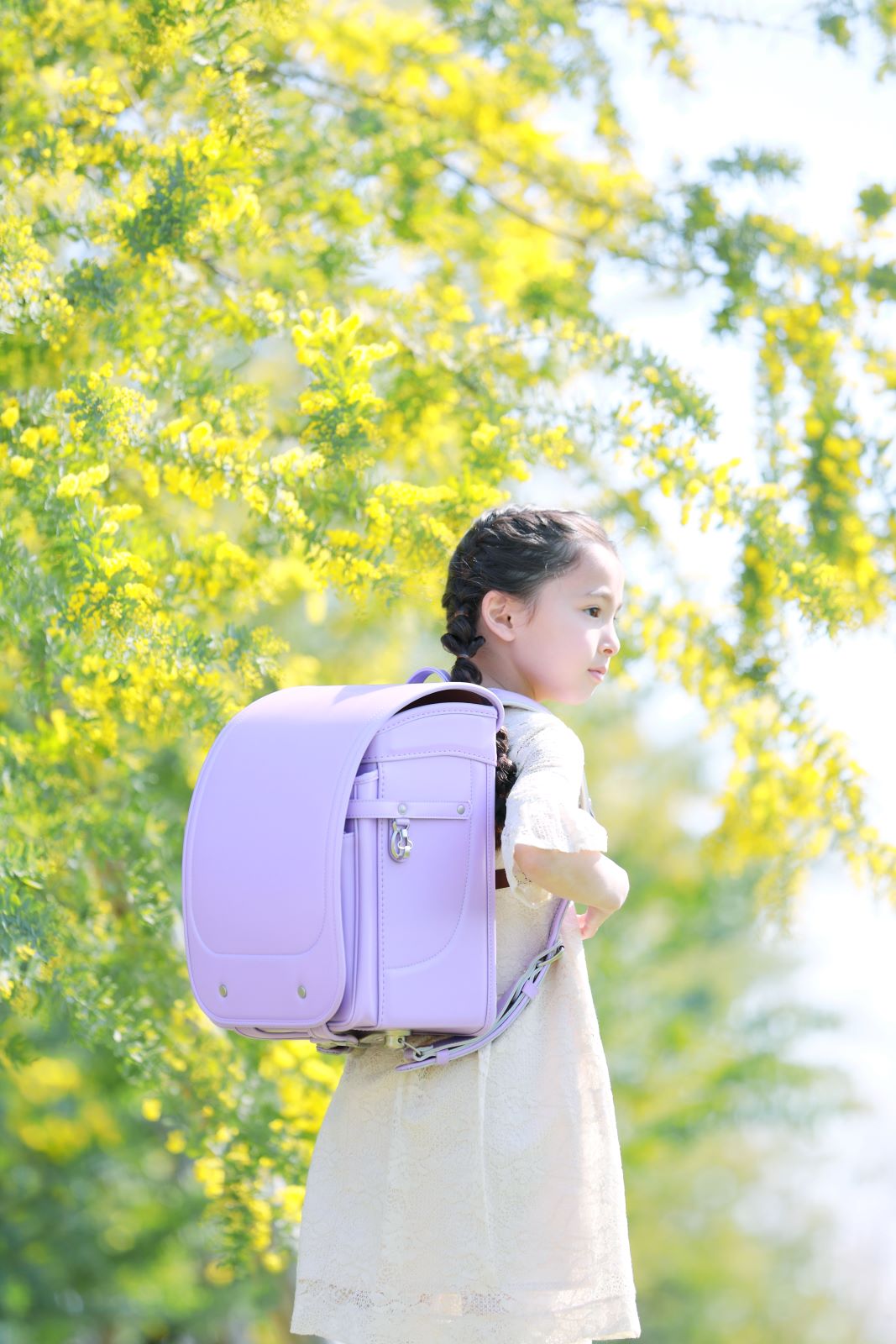 グランディール　スミレ