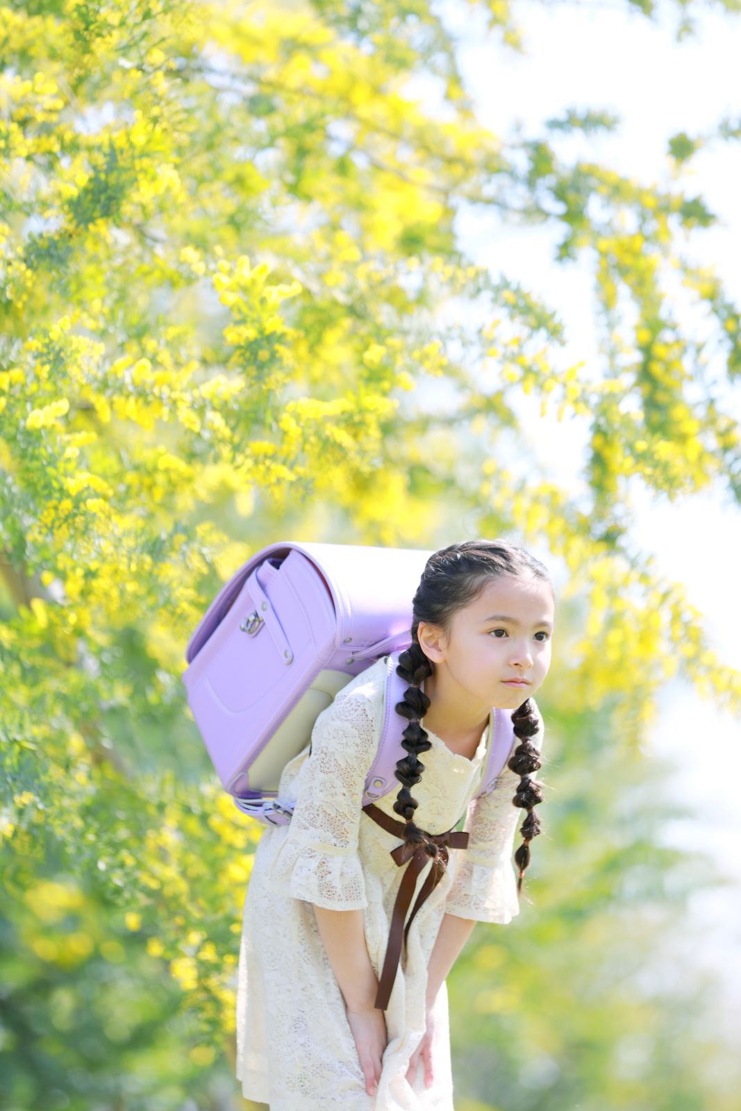 グランディール　スミレ