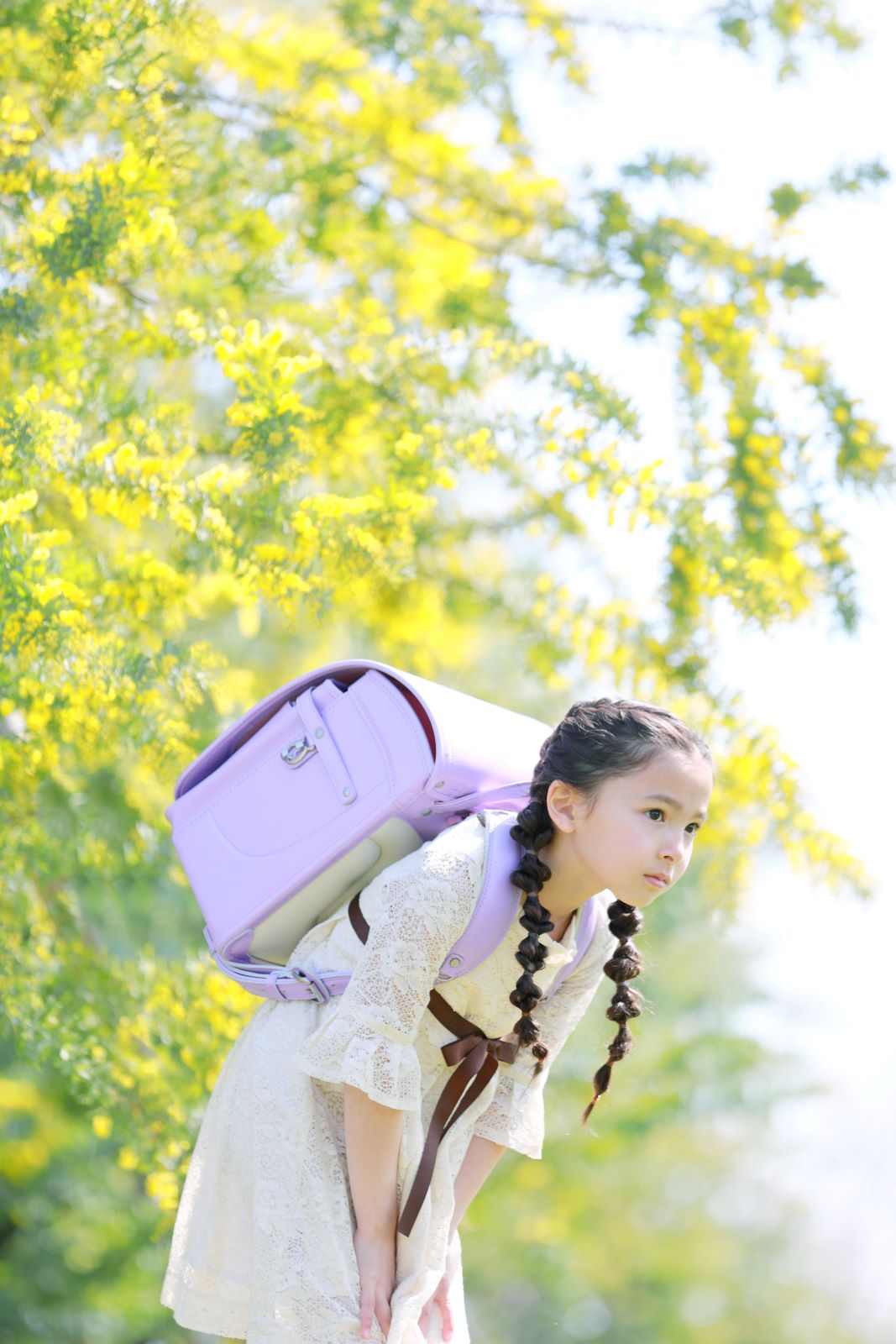 グランディール　スミレ