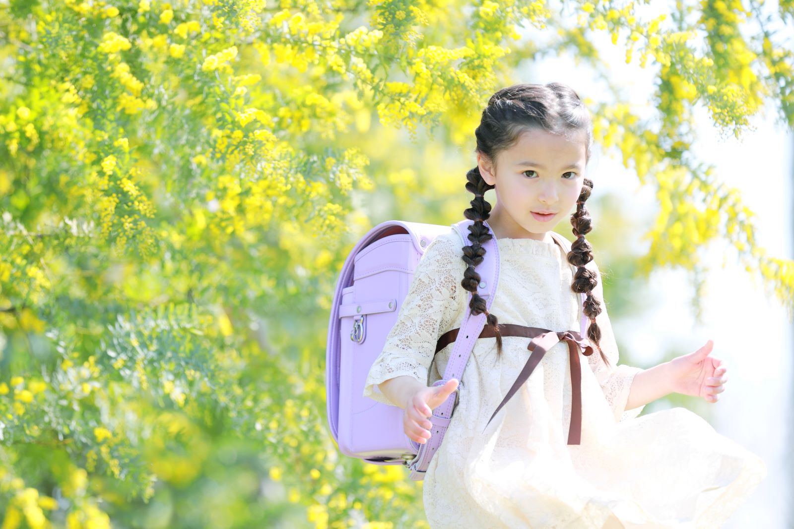 グランディール　スミレ