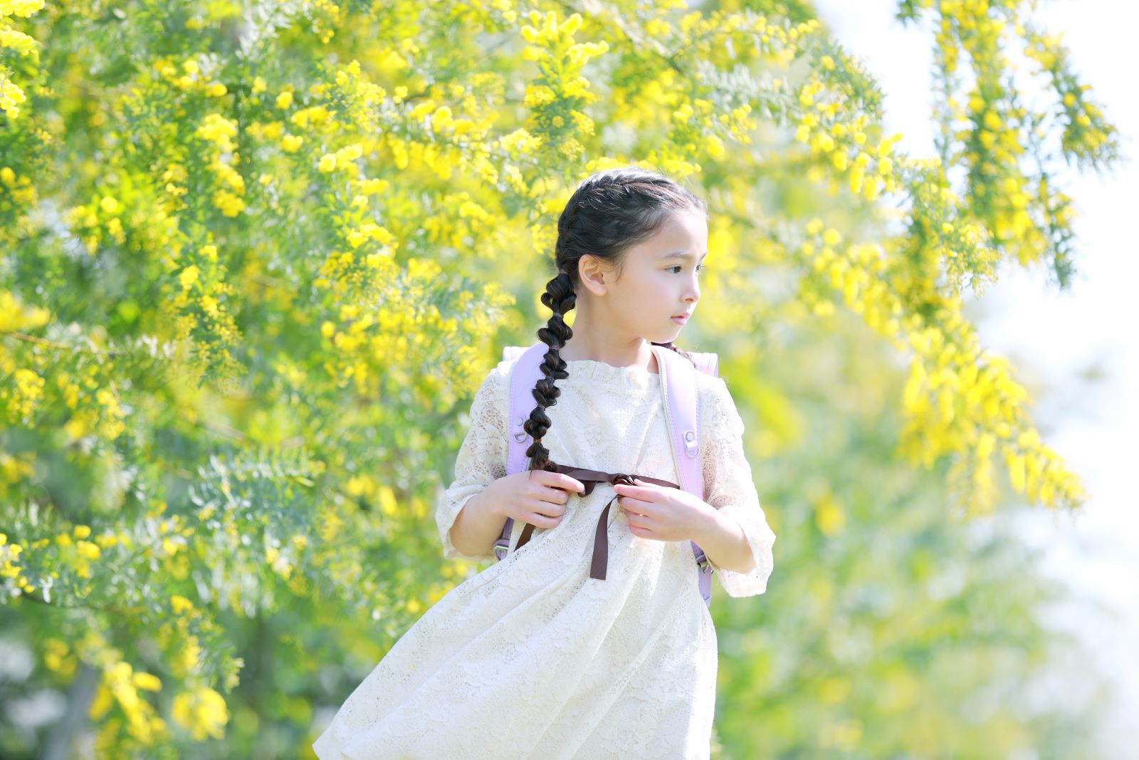 グランディール　スミレ