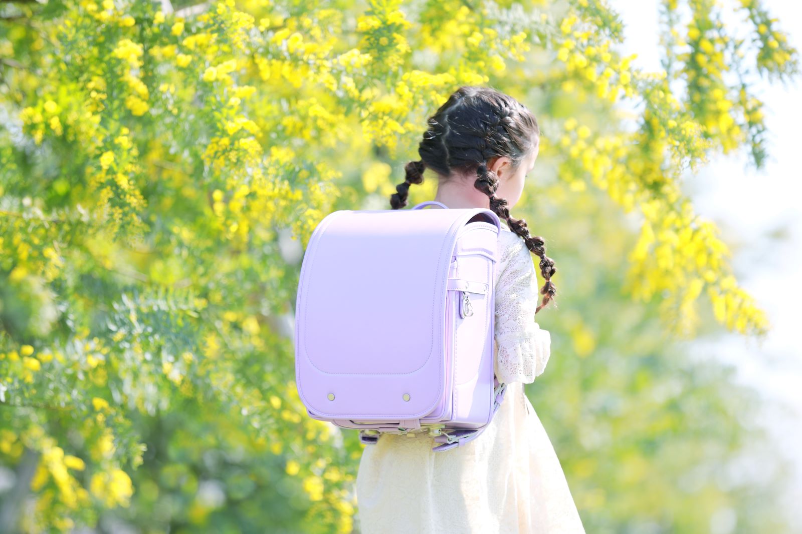 グランディール　スミレ