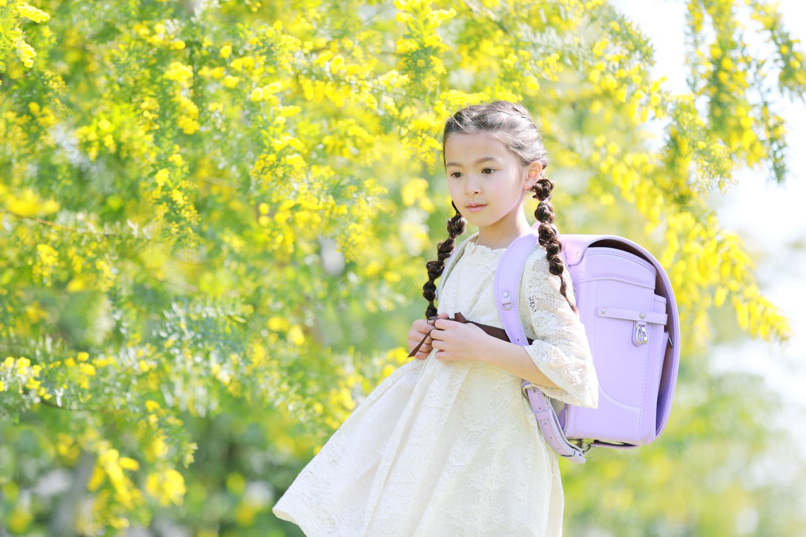 グランディール　スミレ