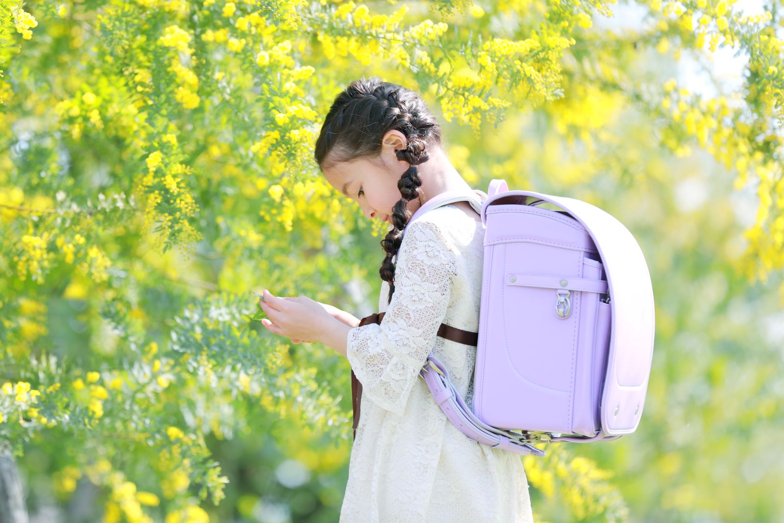 グランディール　スミレ