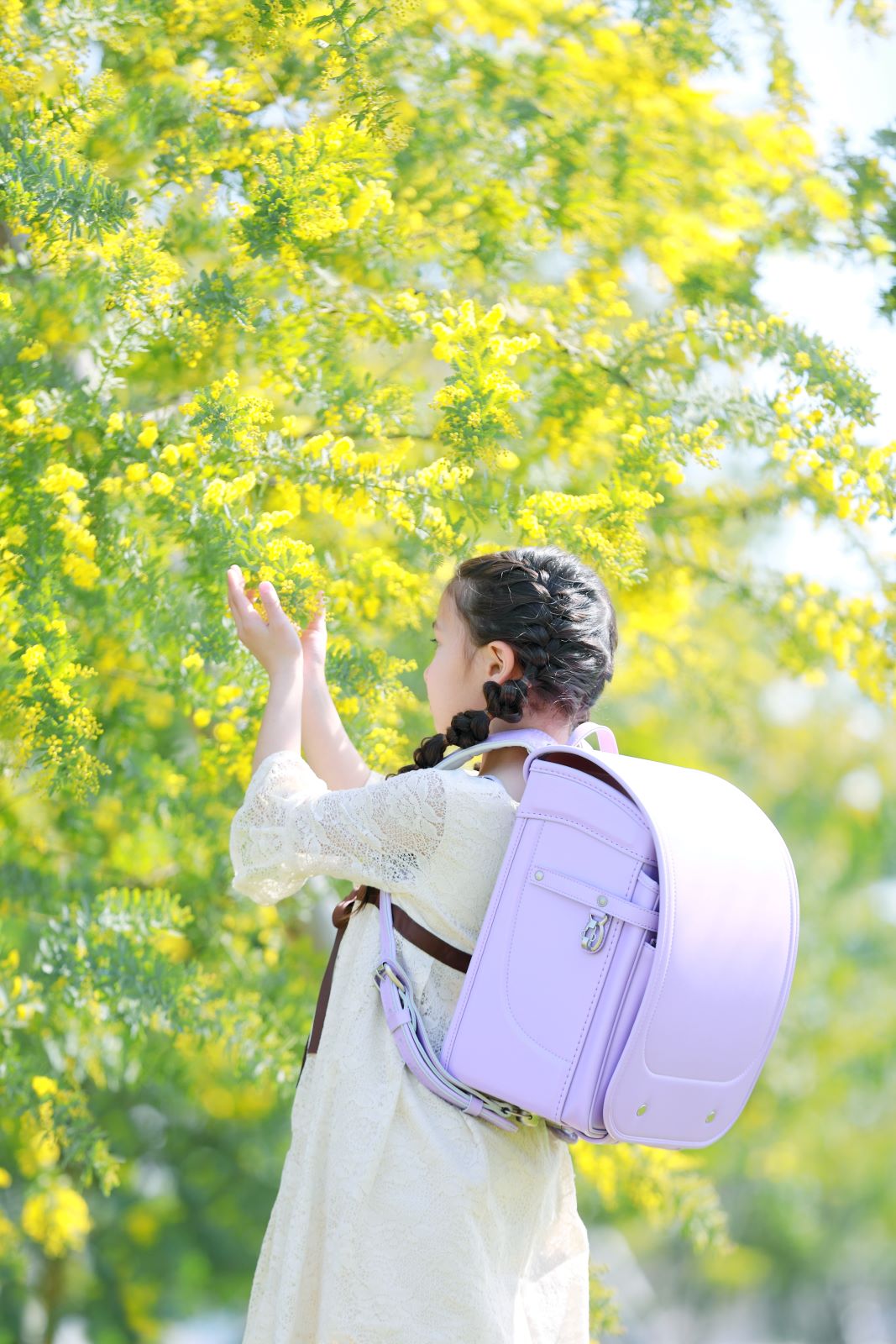 グランディール　スミレ