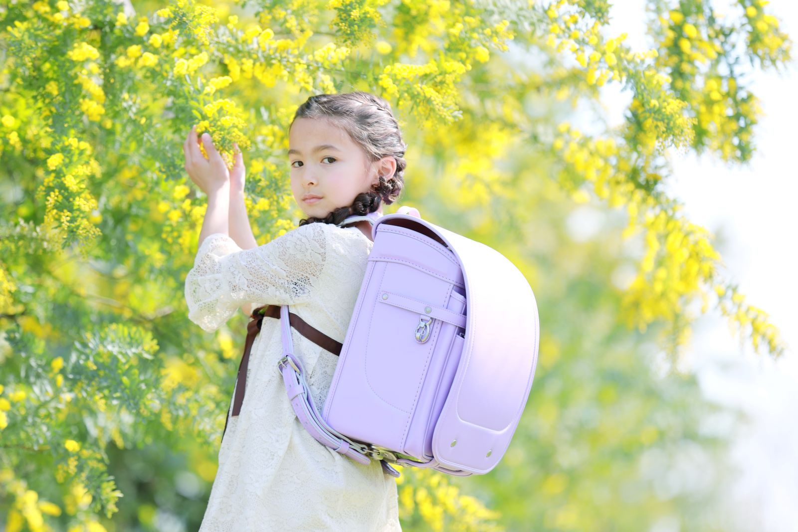 グランディール　スミレ