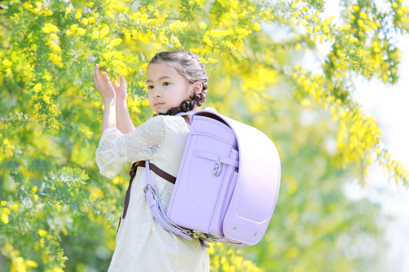 グランディール　スミレ