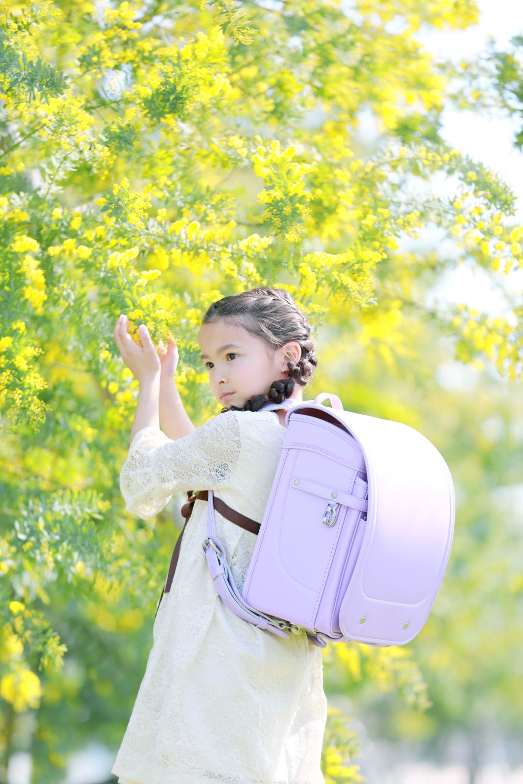 グランディール　スミレ