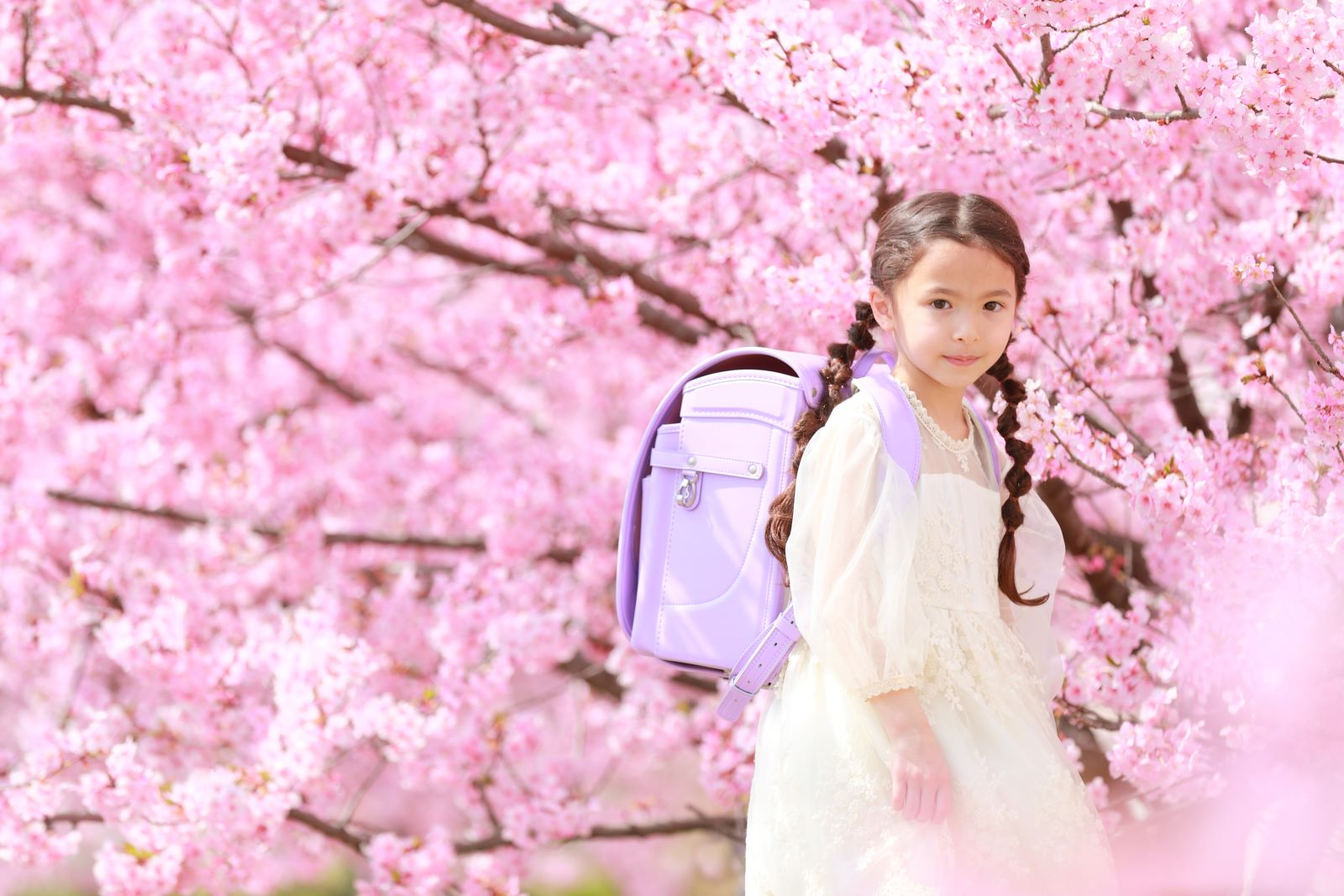 グランディール　スミレ