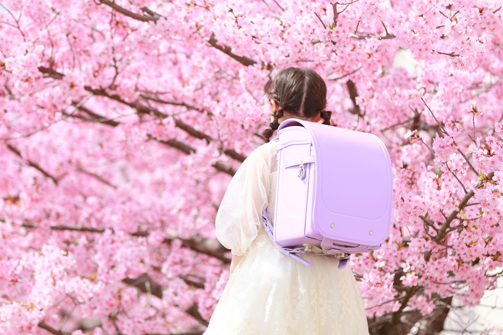 グランディール　スミレ