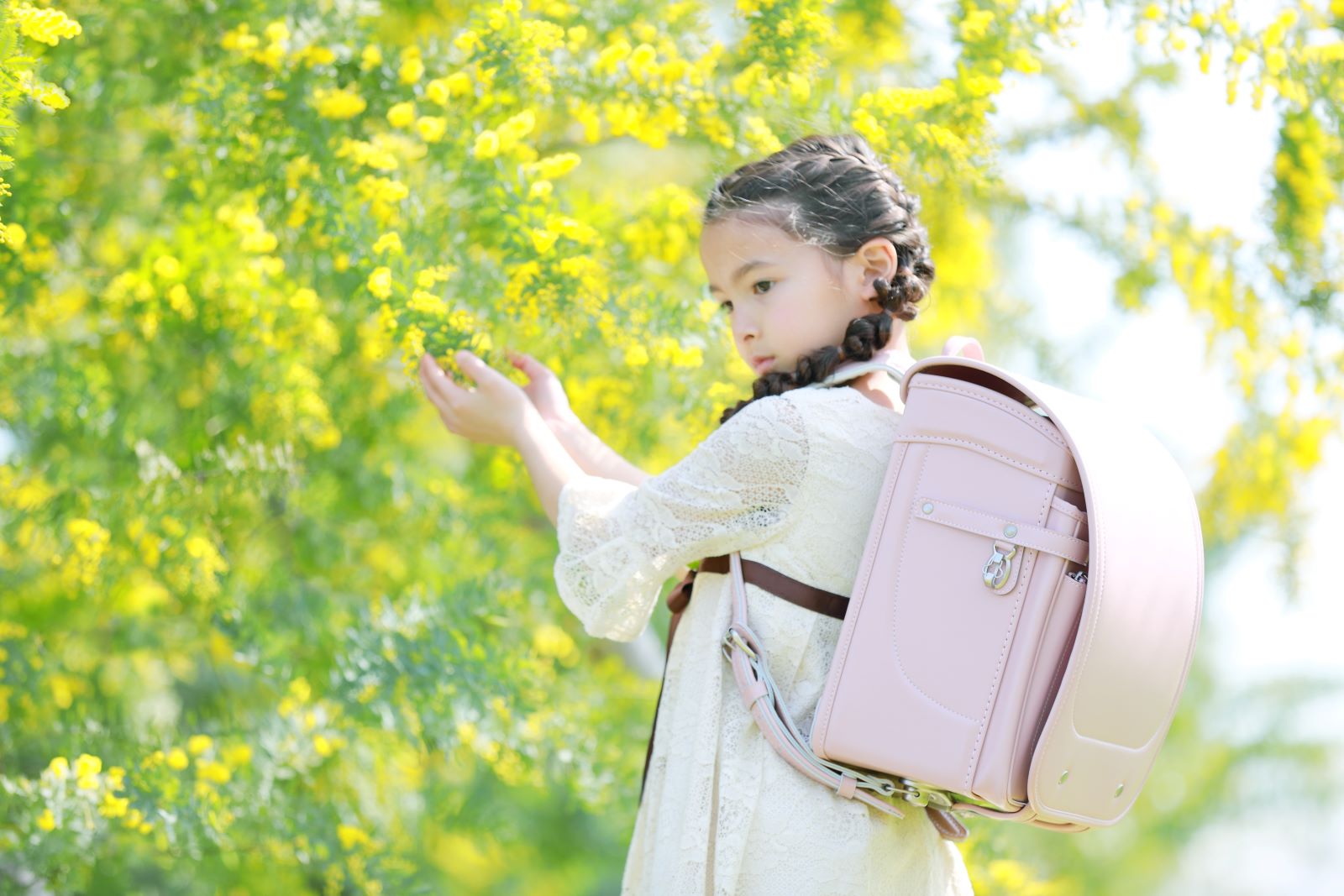 グランディール　パウダーピンク