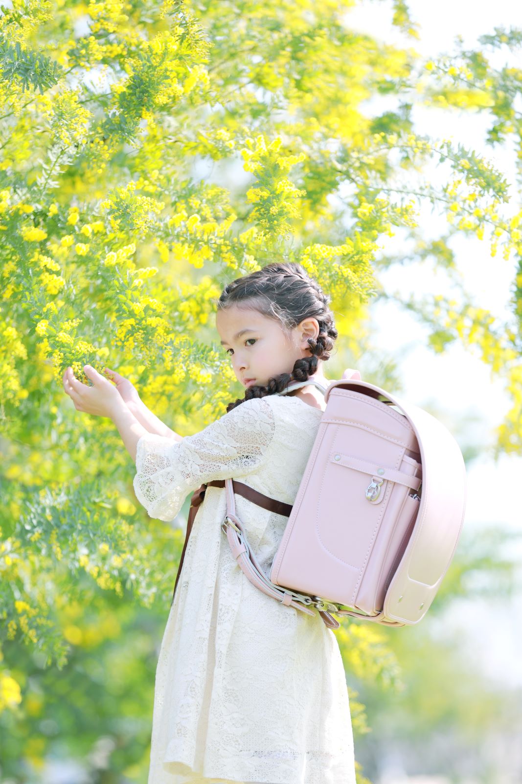 グランディール　パウダーピンク