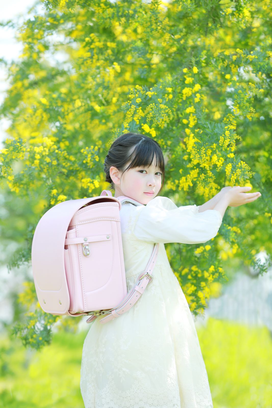 グランディール　パウダーピンク