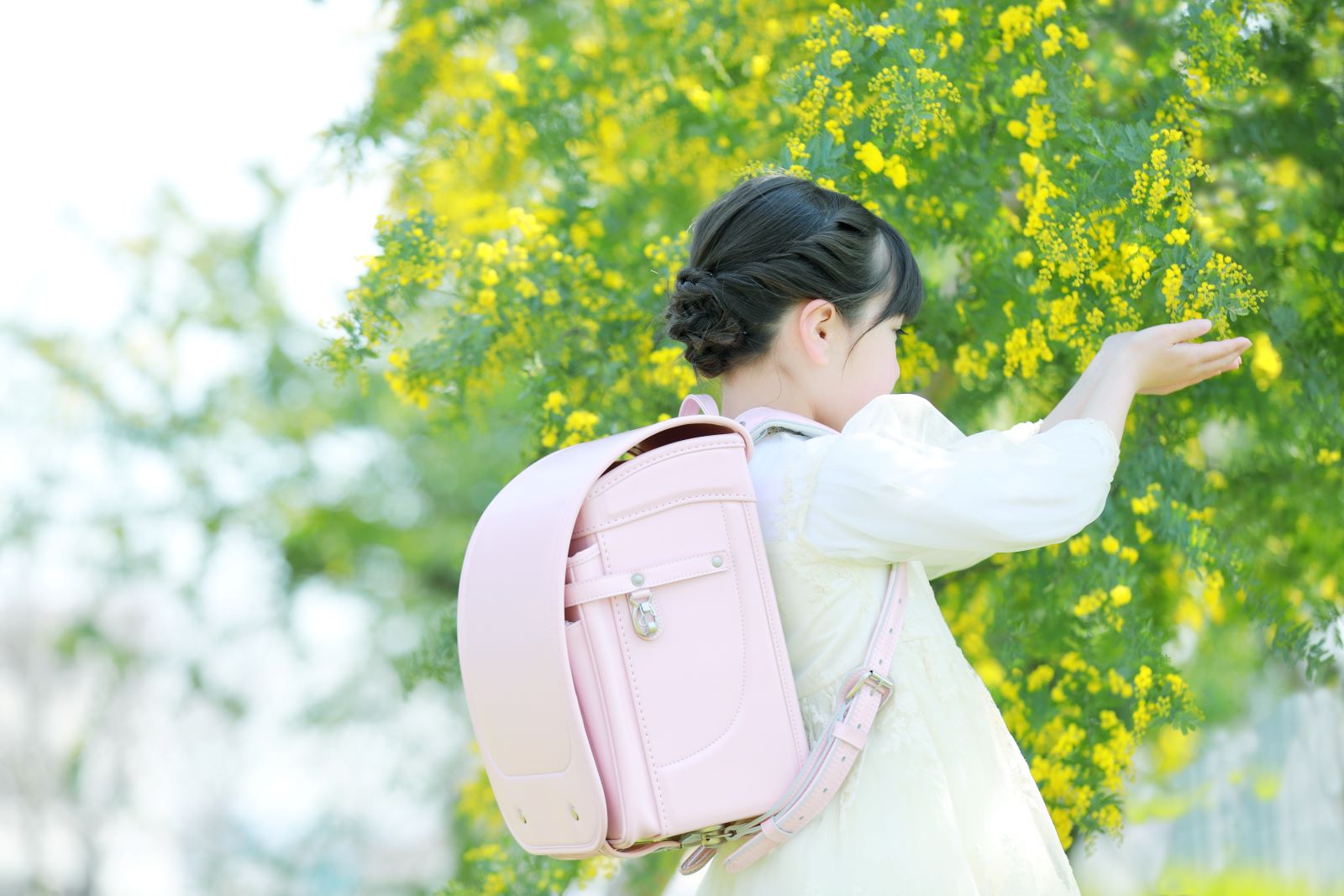 グランディール　パウダーピンク