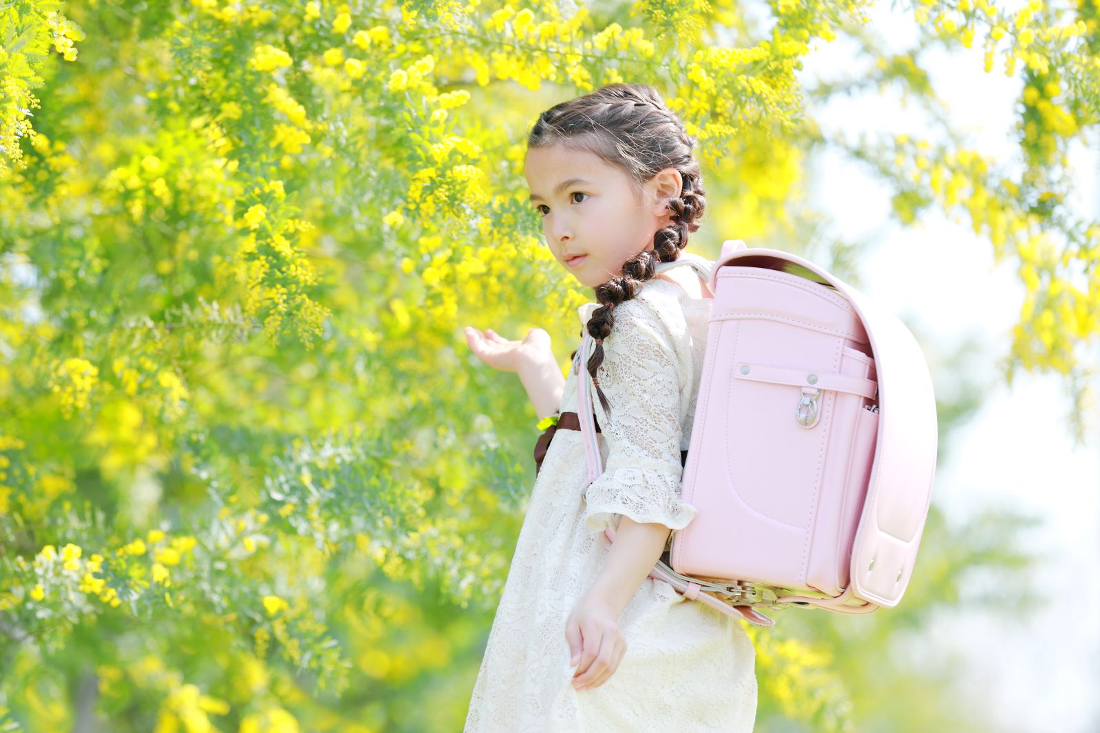 グランディール　パウダーピンク