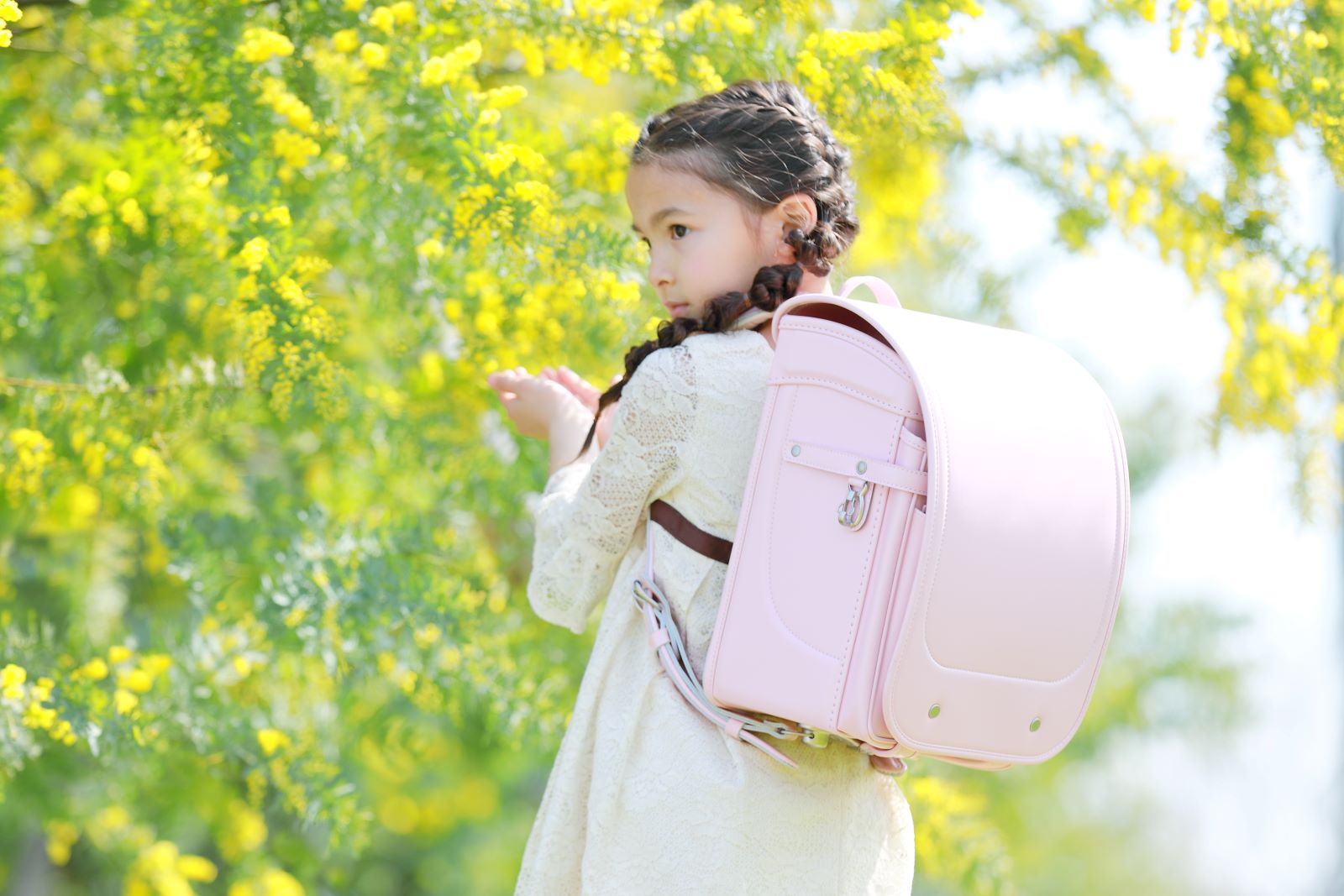 グランディール　パウダーピンク