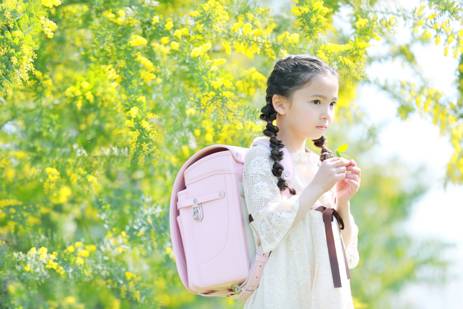 グランディール　パウダーピンク