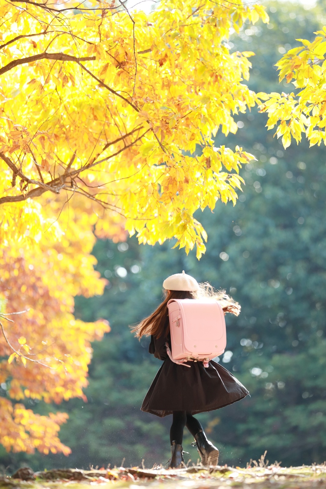 グランディール　パウダーピンク