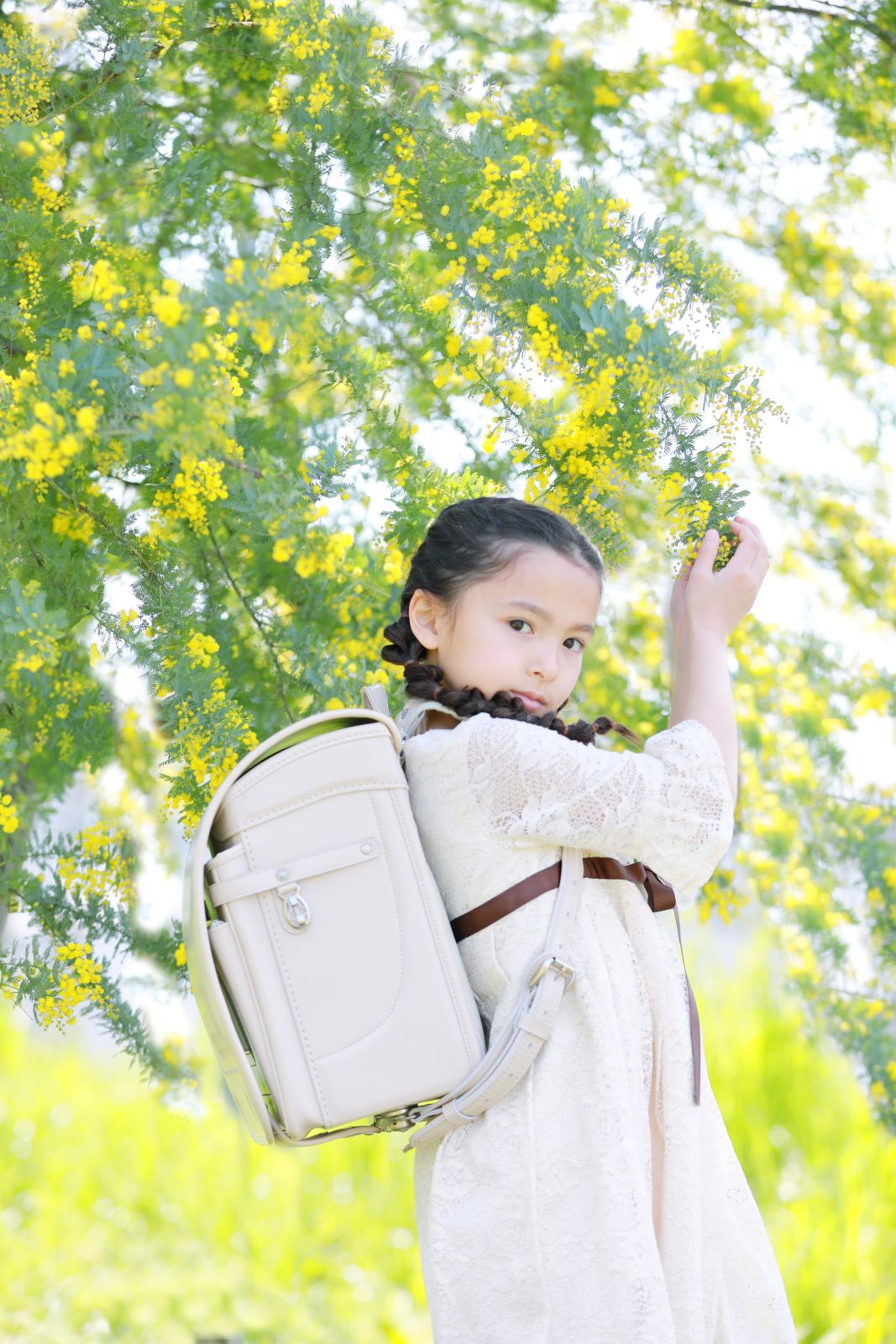 グランディール　ベージュ