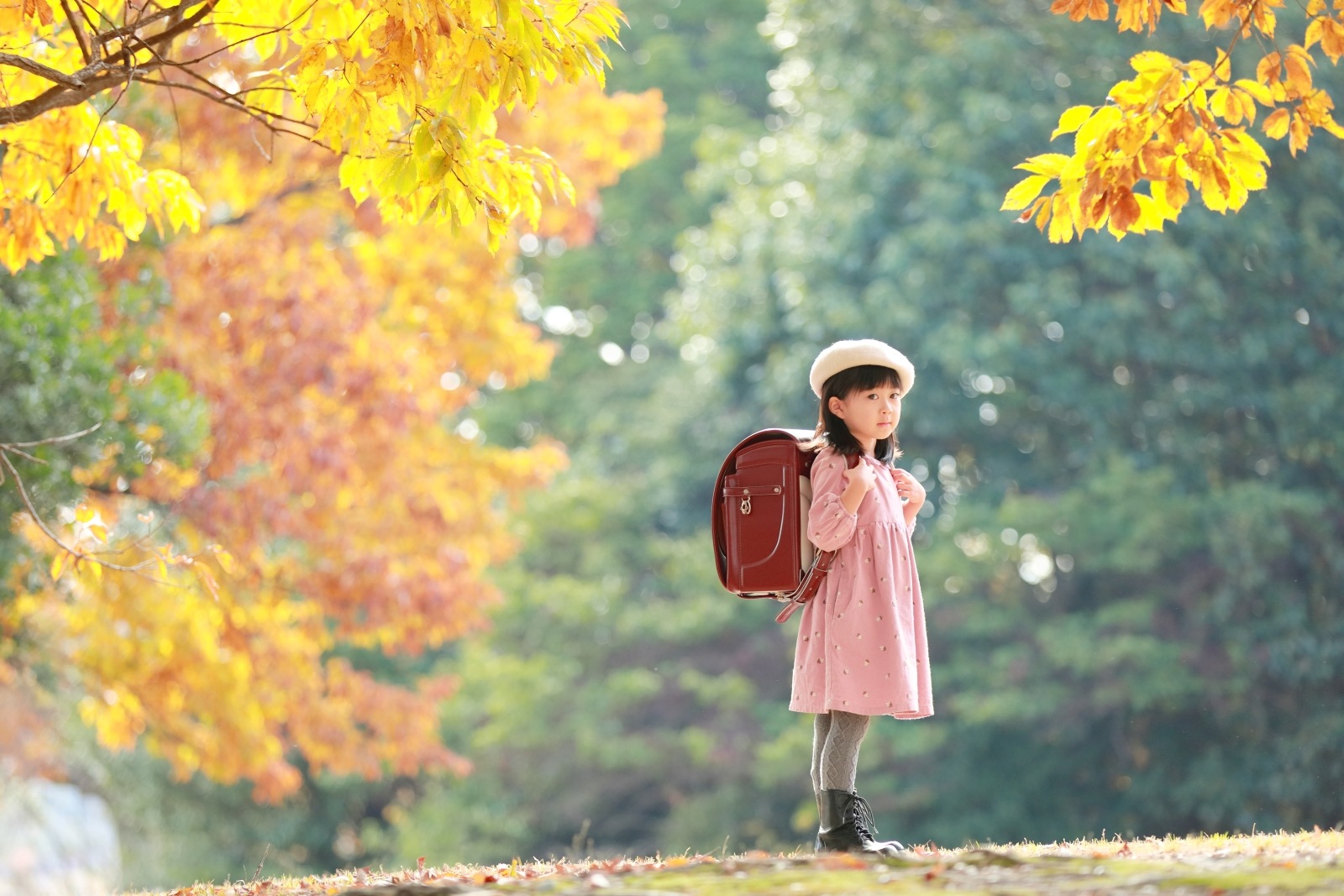 グランディール　ワイン
