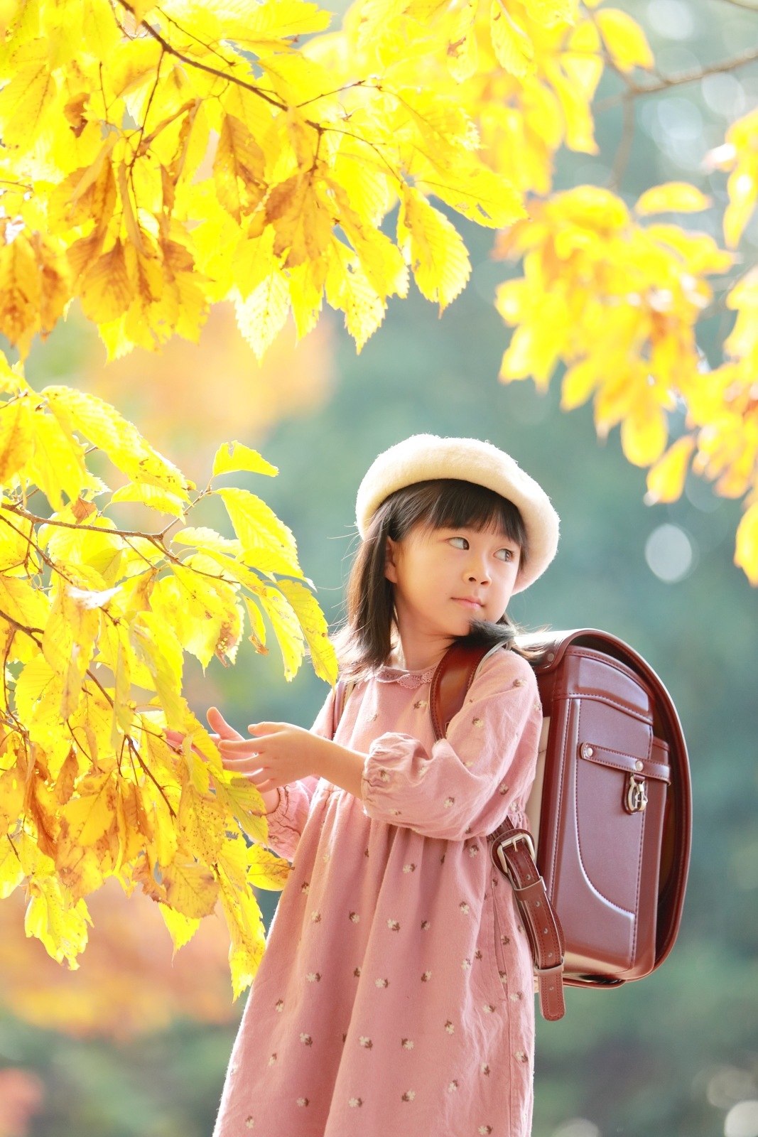 グランディール　ワイン