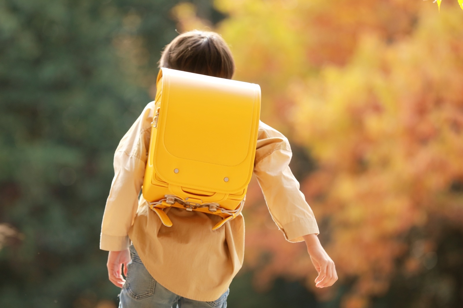 グランディール　イエロー